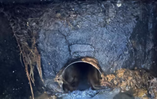 Riool Direct Brabant Verstopping Gezinswoning